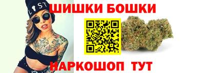 spice Кингисепп