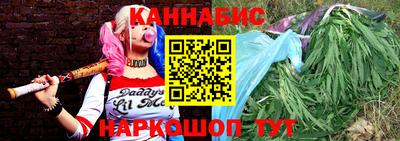 spice Кингисепп