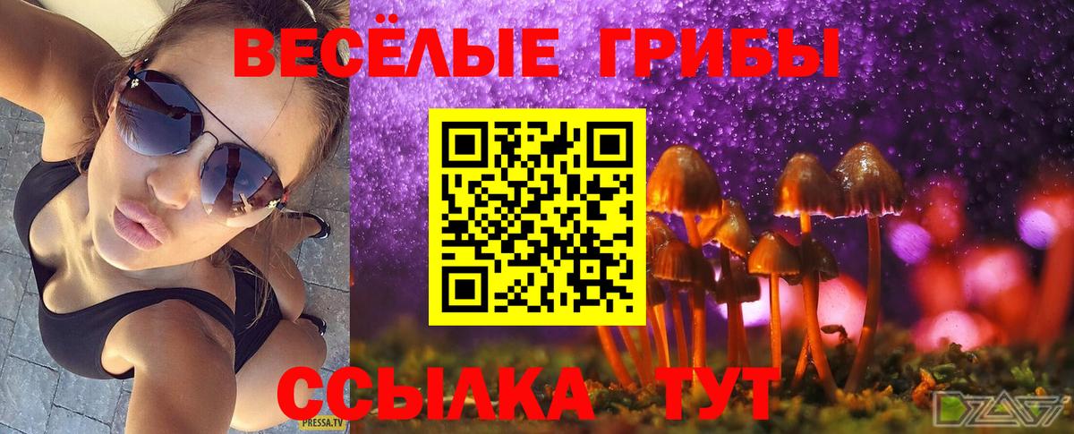 Галлюциногенные грибы Cubensis Красногорск