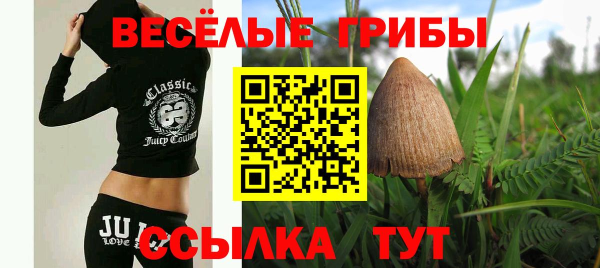 Красногорск  Галлюциногенные грибы GOLDEN TEACHER  Вход с VPN 